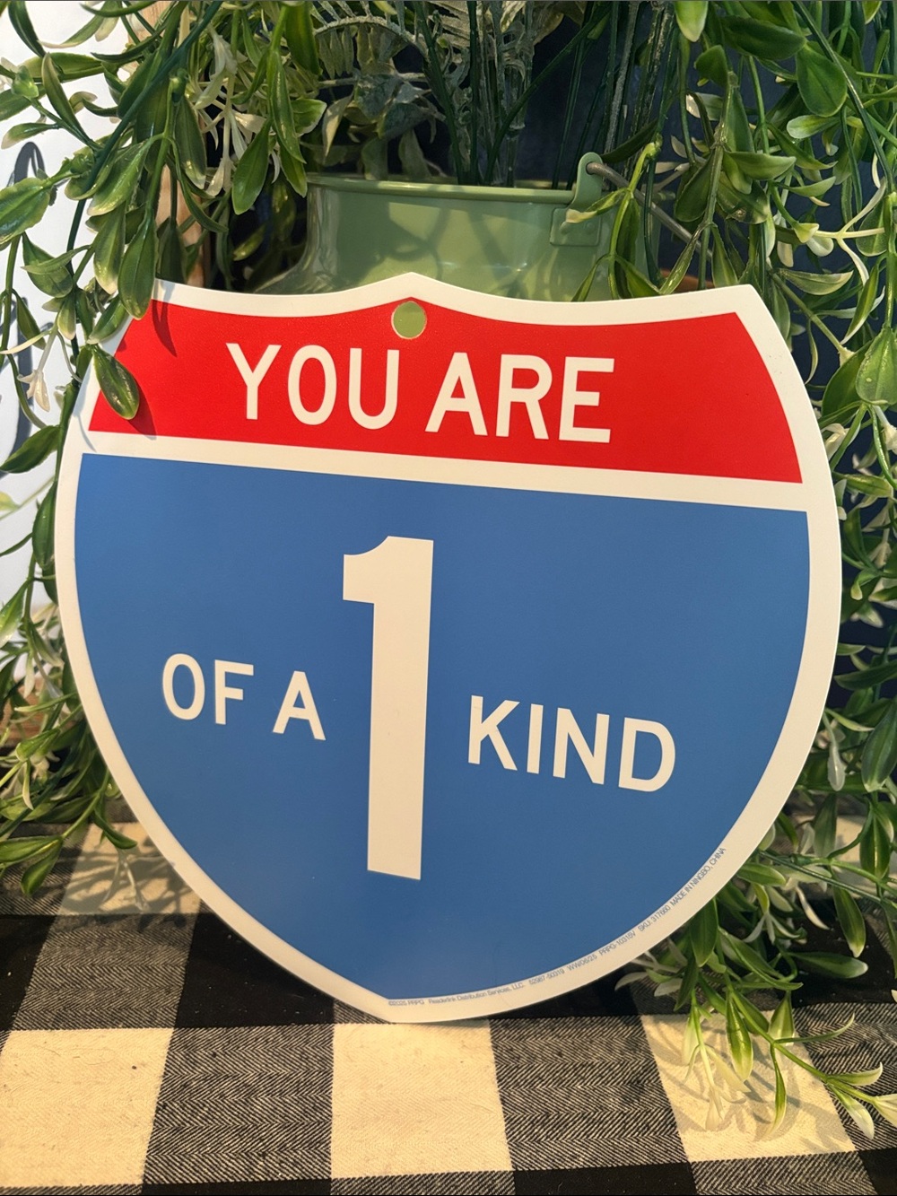 You Are 1 Of A Kind Decorative Sign